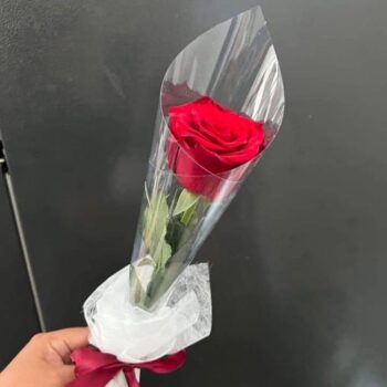 Toko Bunga Terdekat dari Lokasi Saya Temukan Florist Terpercaya untuk Segala Momen